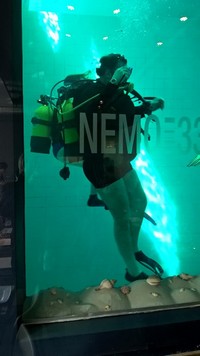 wp_20160320_13_53_35_pro.jpg